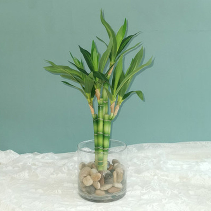 Outdoor Furniture Green - Nuovo 40 cm rFtificial Lucky Bamboo