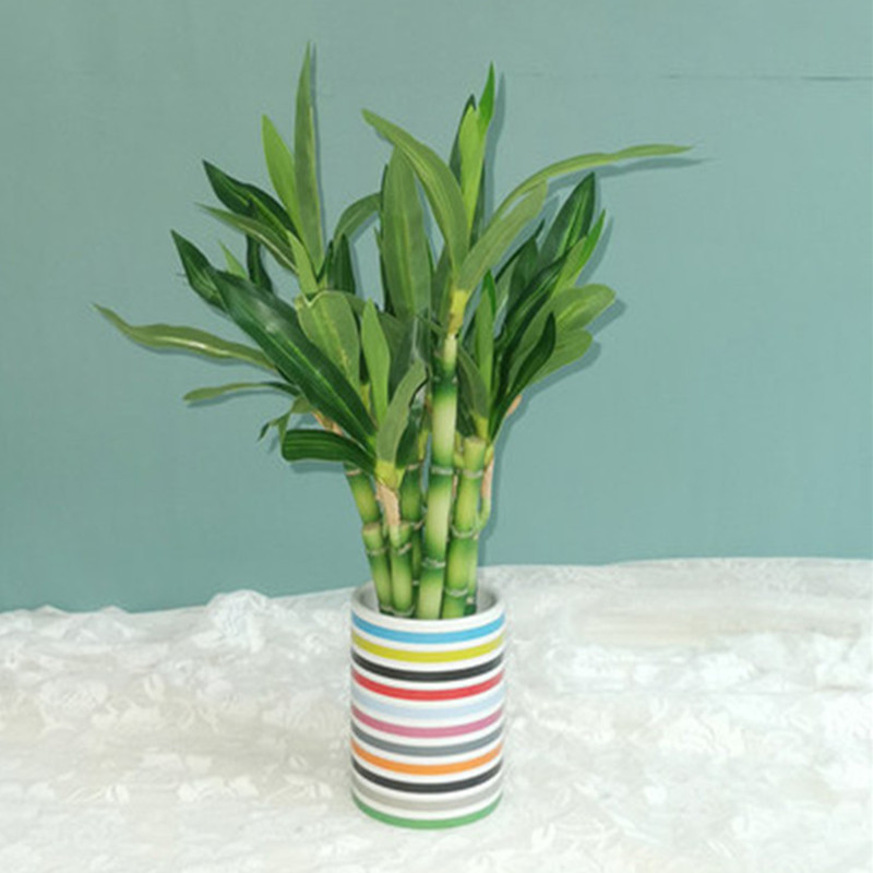 Nuovo 40 cm rFtificial Lucky B - Outdoor Furniture Green recensione e prezzo